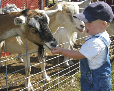 Kids New Port Richey: Animal Encounters - Fun 4 Sun Coast Kids