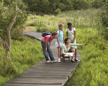 Kids New Port Richey: Nature and Animal - Fun 4 Sun Coast Kids
