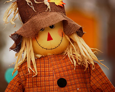 Kids Clearwater and Tarpon Springs: Halloween and Fall Displays - Fun 4 Sun Coast Kids
