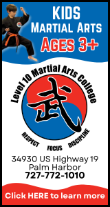 Level 10 Martial Arts College