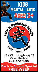 Level 10 Martial Arts College