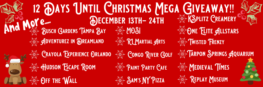 12 Days Until Christmas Mega Giveaway