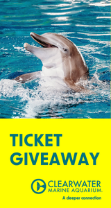 Giveaway