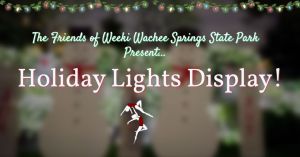 holidaylightsweekiwachee.jpg