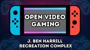 open video gaming.jpg