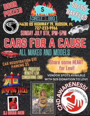 cars for a cause.jpg