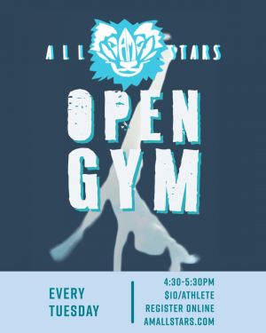 open gym am allstars.jpg