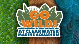 go wild clearwater marine aquarium.jpg