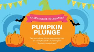 morningside pumpkin plundge.jpg