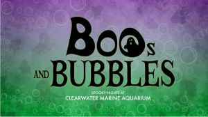 boos and bubbles.jpg