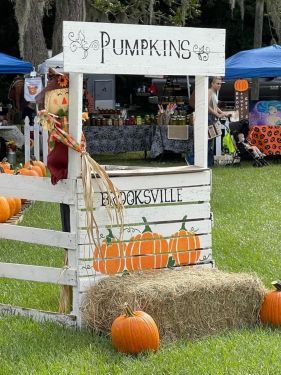 brooksville pumpkin patch.jpg