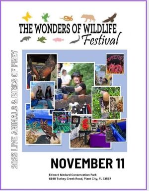 wonders of wildlife festival.jpg