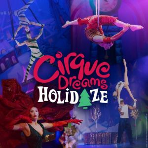 cirque dreams holidaze.jpg