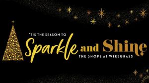 sparkle and shine at wiregrass.jpg