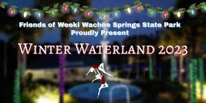 weeki wachee winter wonderland.jpeg