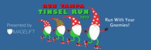 run tampa tinsel run.jpg