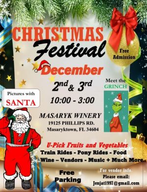 christmas festival on the farm.jpg