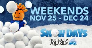 snow days florida aquarium.jpg