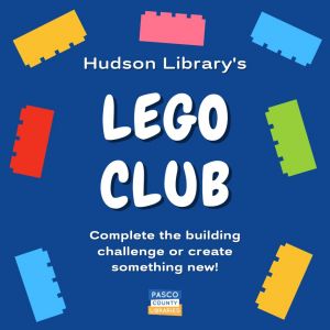 lego club hudson library.jpeg