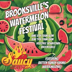 brooksville watermelon festival.jpg