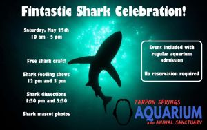 fantastic shark celebration tarpon aquarium.jpg