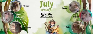 suncoast primate birthday party.jpg