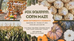 fox squirrel corn maze.jpg