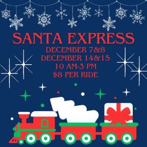 central pasco and gulf rr christmas train.jpg