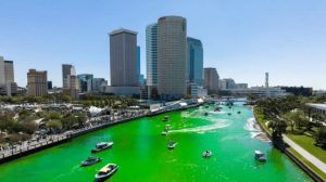 tampa river o green festival.jpg