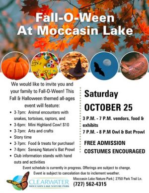 moccasin.jpg