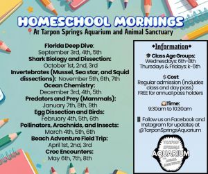 homeschool.jpg