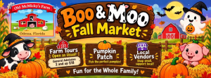 834939194_1499324622232861_24170.png