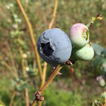 6128.jpg