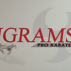 Ingram's Karate Center - Summer Camp