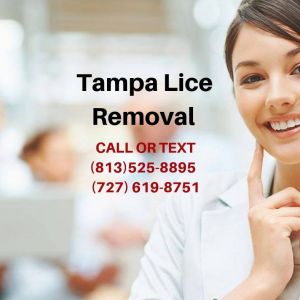 Tampa Lice Removal
