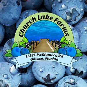 Church Lake Farms