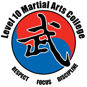 Level 10 Martial Arts College Florida - Virtual Classes