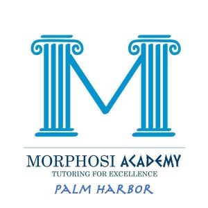 Morphosi Academy Day Camp
