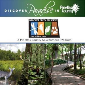 Brooker Creek Preserve and Environmental Center Programs