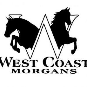 West Coast Morgans Summer Horse Camp