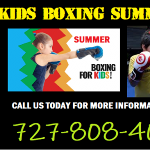 Smith Brothers Combat Sports - Kid's Summer Boxing Program