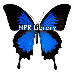 New Port Richey Public Library- Volunteering