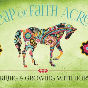 Leap of Faith Acres - Lessons