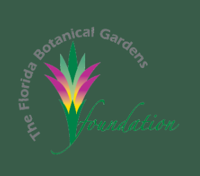 Florida Botanical Gardens Holiday Lights in the Gardens