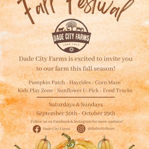 Dade City Farms Fall Festival