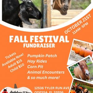 Ladybug Farm Sanctuary Fall Festival Fundraiser
