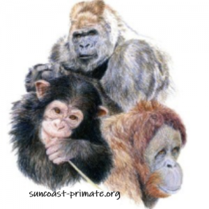 Suncoast Primate Sanctuary
