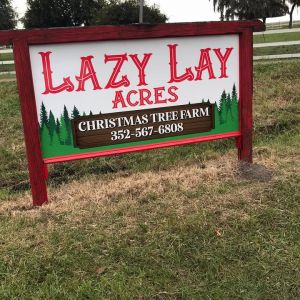Lazy Lay Acres