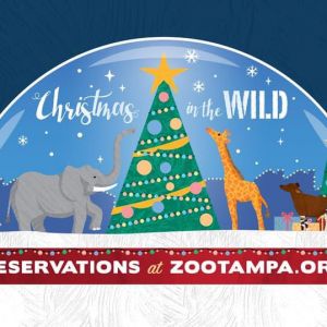 ZooTampa Christmas in the Wild