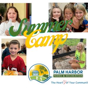 Palm Harbor Parks & Recreation Summer Camp